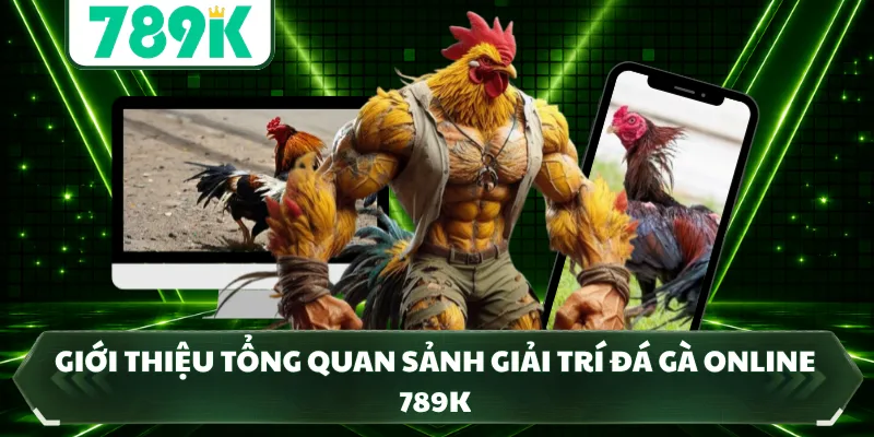 Giới thiệu tổng quan sảnh giải trí đá gà online 789K   